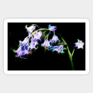 Bluebell Sticker